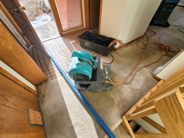 Best Sewage cleanup and water damage restoration  in Blandon, PA