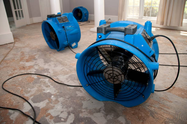 Best Water damage mitigation services  in Blandon, PA