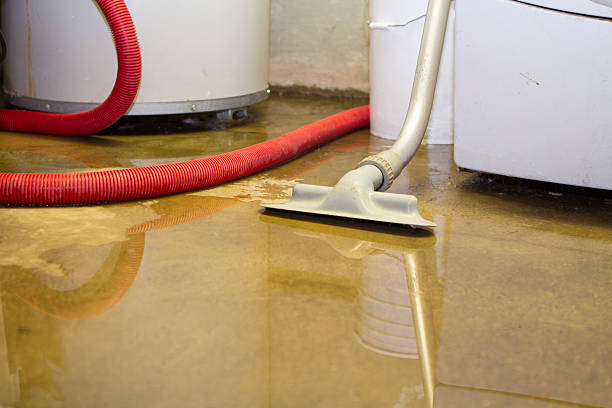 Best Commercial water damage restoration  in Blandon, PA