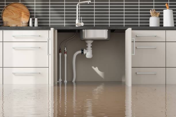  Blandon, PA Water damage restoration Pros