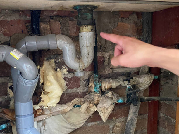 Best Flooded house restoration  in Blandon, PA