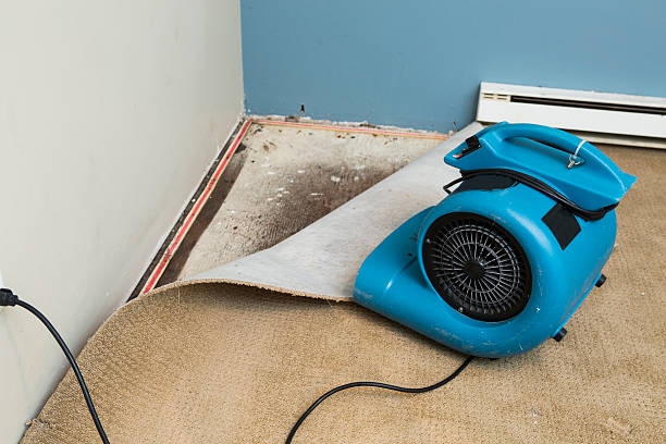 24/7 water damage repair in Blandon, PA